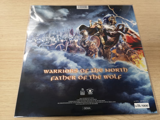 Amon Amarth "Warriors of the North" NEW 2021 10" Shaped Picture Disc