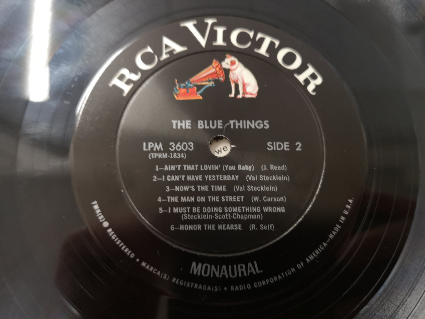 Blue Things "S/T" Orig US Mono 1966 Kansas Garage/Folk Rock EX/EX