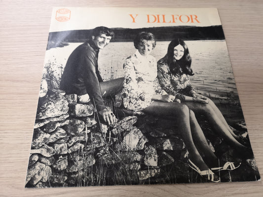 Y Dilfor "S/T" Orig UK 1973 EX/EX (Private Celtic Folk)