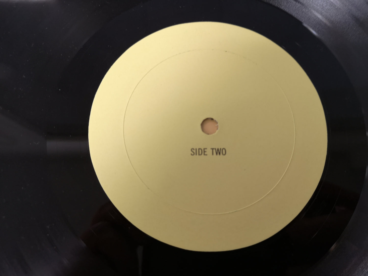 Flamin' Groovies "No Candy" Orig US/HOL 1978 M-/M- (Live '76)