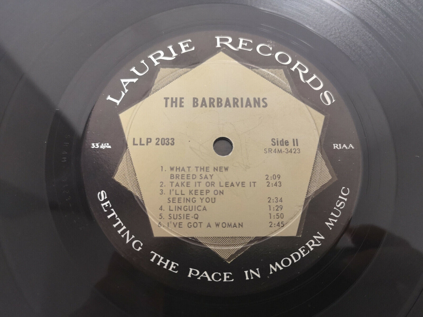 Barbarians "Are you a Boy or are you a Girl" Orig US 1966 Mono VG++/EX