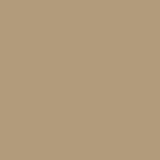 Prince August Air - Desert Tan 686 P122