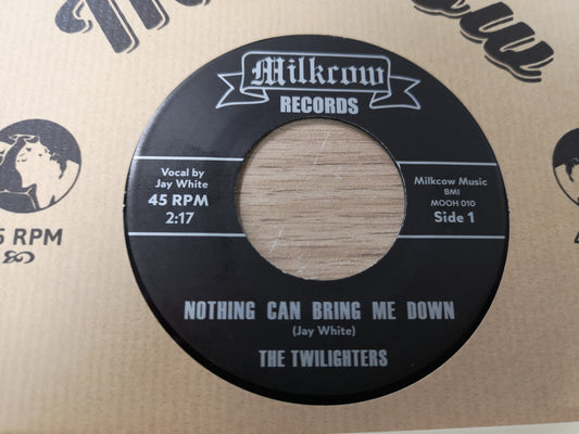 Twilighters "Nothing Can Bring Me Down" RE M/M 2017 (7" Single - B&W Pic)