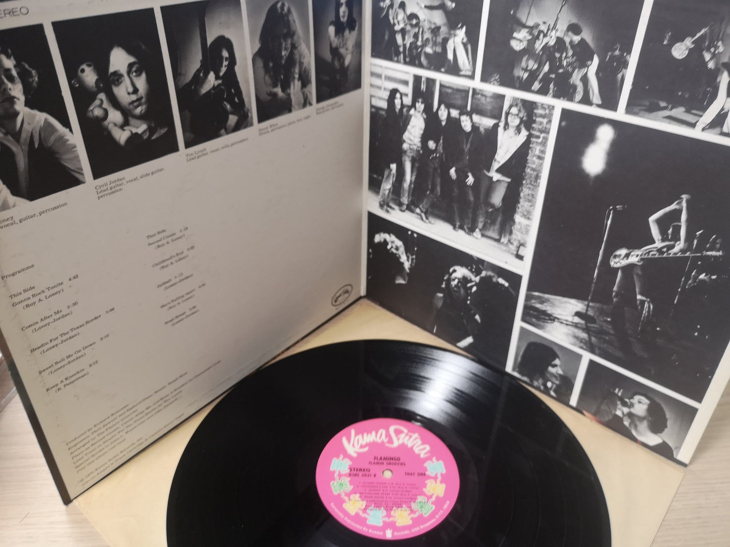 Flamin' Groovies "S/T (Aka Flamingo)" Orig US 1970 M-/M-