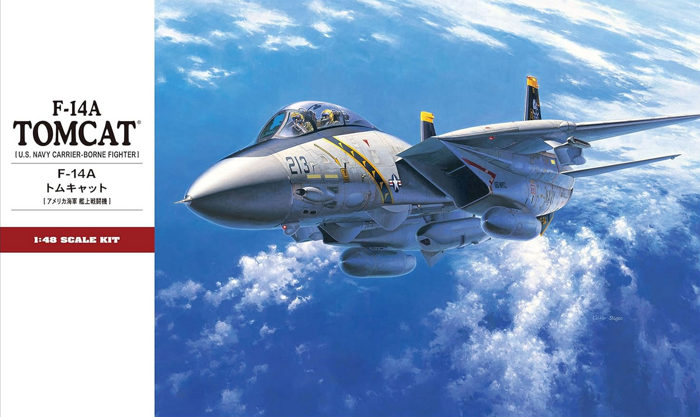 F-14A Tomcat [U.S. Navy Carrier-Borne Fighter] - HASEGAWA 1/48