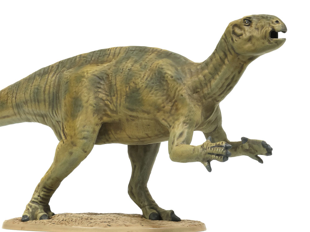 Fukuisaurus - Dinosaur Series - TAMIYA 1/35