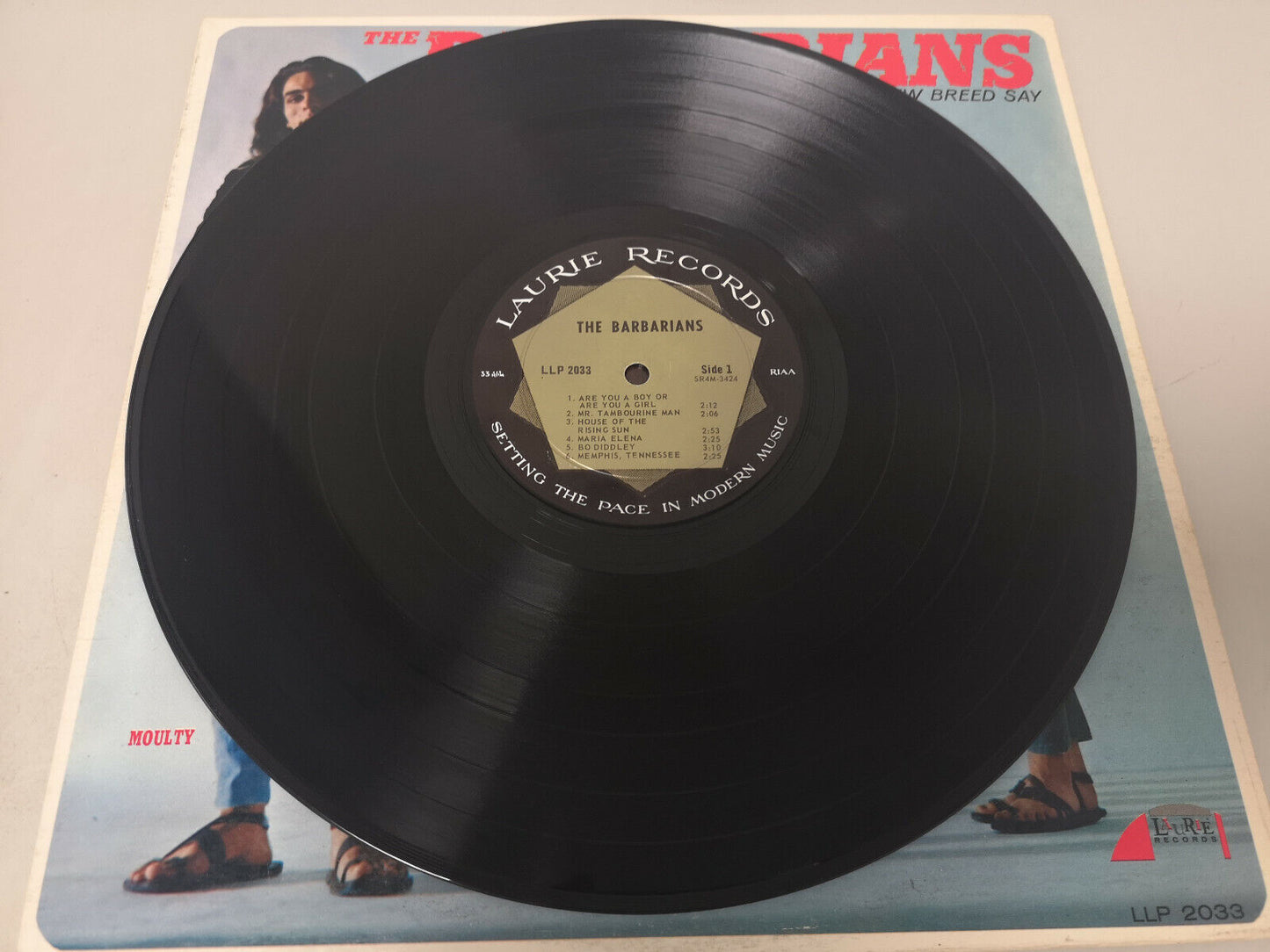 Barbarians "Are you a Boy or are you a Girl" Orig US 1966 Mono VG++/EX