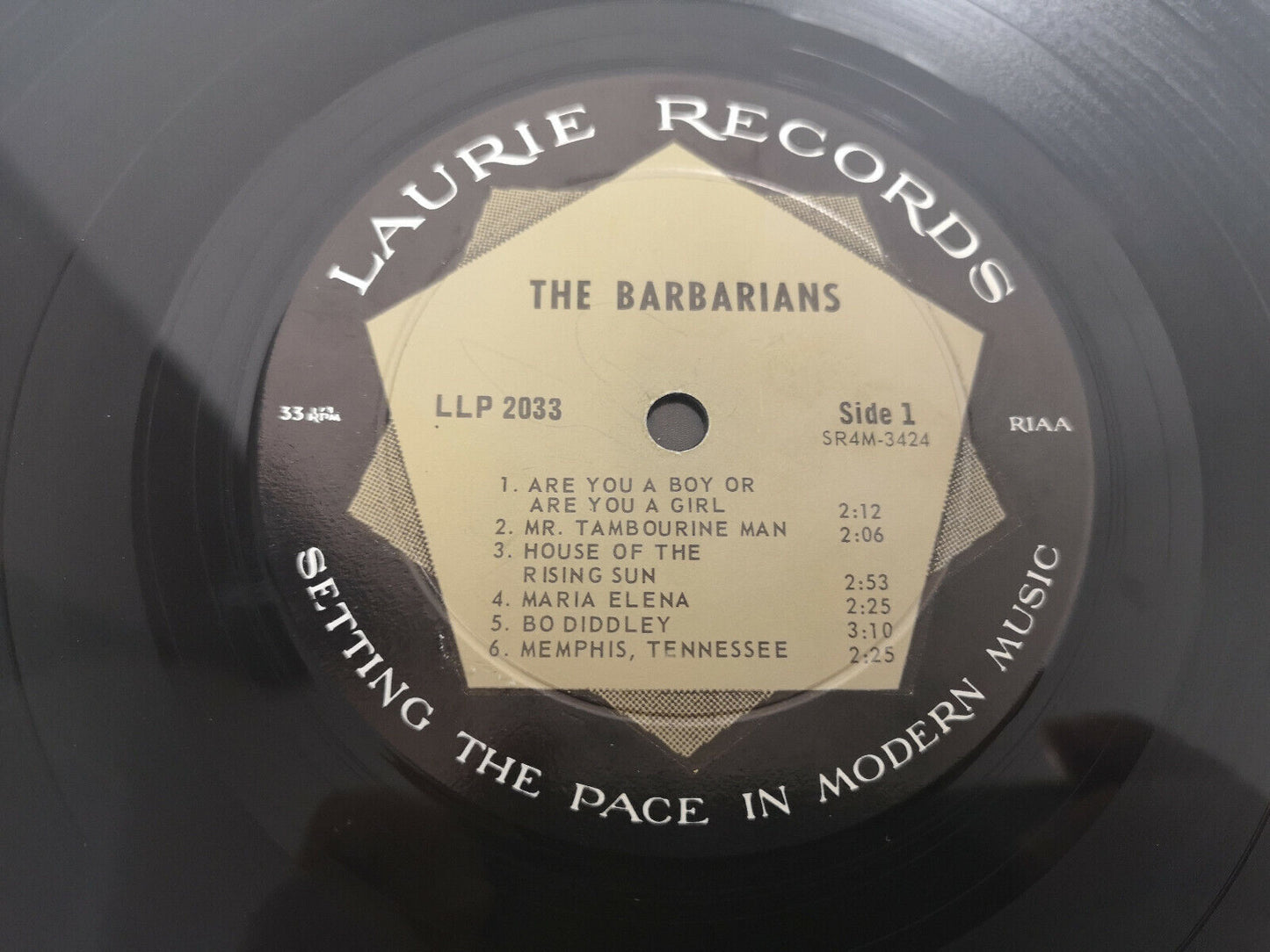 Barbarians "Are you a Boy or are you a Girl" Orig US 1966 Mono VG++/EX