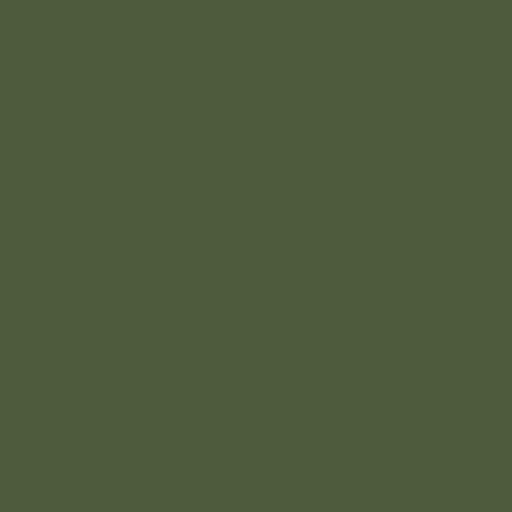 Prince August Air - Vert Zinc Chromate P094