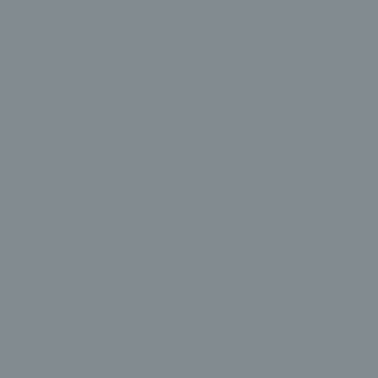 Prince August - Gris Bleu Clair FS25237 P905-156